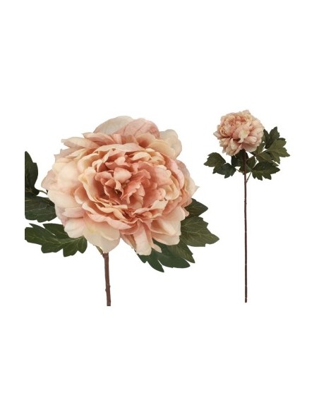 VARA PEONIA DRIED - 57 CM (ROSA) VARA PEONIA DRIED - 57 CM (ROSA)