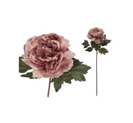 VARA PEONIA DRIED - 57 CM (VIOLETA)