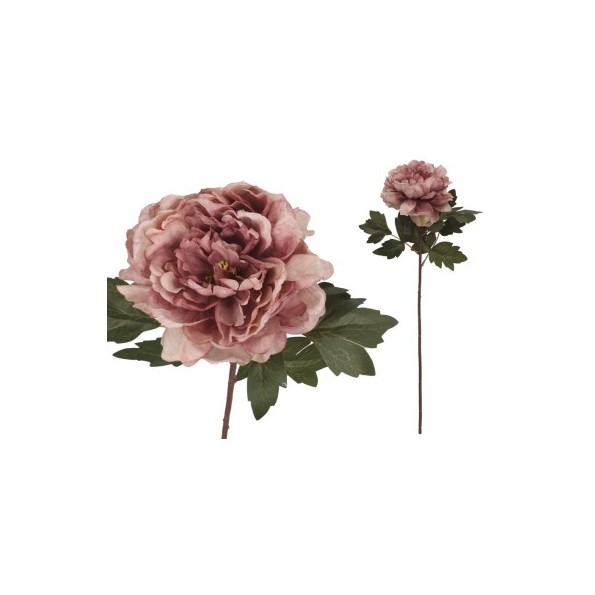 VARA PEONIA DRIED - 57 CM (VIOLETA)
