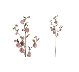 VARA CHERRY BLOSSOM DRIED -90 CM (VIO)
