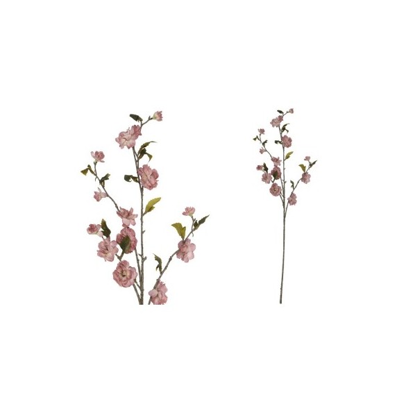VARA CHERRY BLOSSOM DRIED -90 CM (VIO)