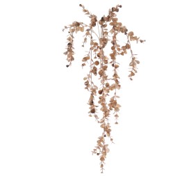 COLCANTE EUCALYPTUS (NAV3544-42)