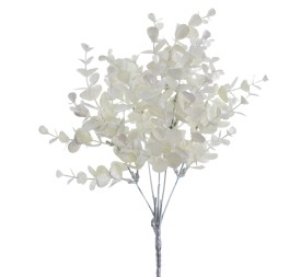 RAMO EUCALYTUS (NAV3550-11)