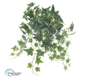 MATA COLGANTE HIEDRA HOLLAN U.V