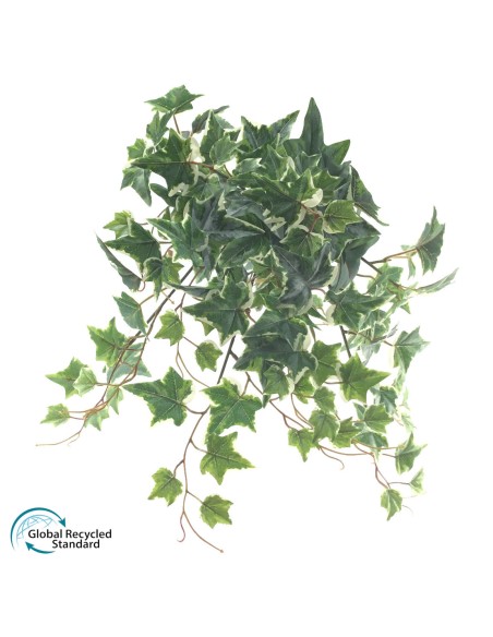 MATA COLGANTE HIEDRA HOLLAN U.V