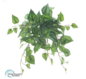 COLGANTE ARGRERIA NERVOSA U.V. (4019-68)