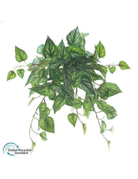 COLGANTE ARGRERIA NERVOSA U.V. (4019-68)