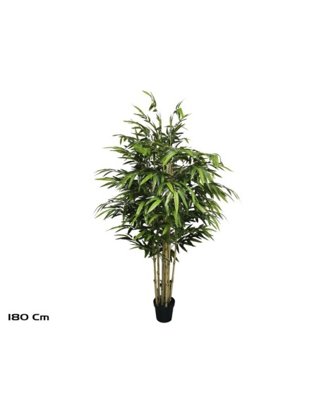 ARBOL BAMBU T/N BIG LVS X 6 (F) - 180 CM