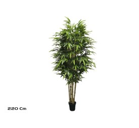 ARBOL BAMBU T/N BIG LVS X 8 (F) - 220 CM