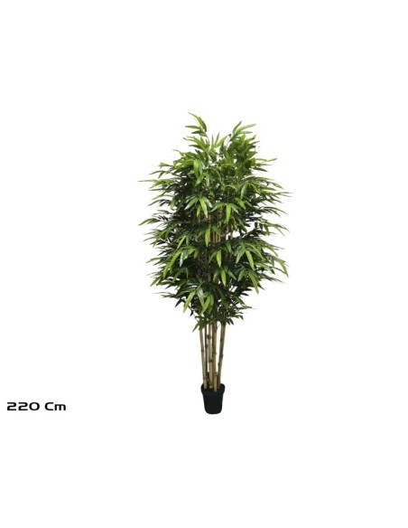 ARBOL BAMBU T/N BIG LVS X 8 (F) - 220 CM