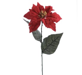 POINSETTIA (ZND920-08)