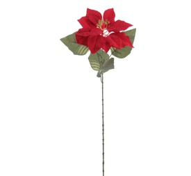 POINSETTIA (ZND950-08)