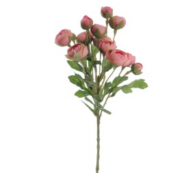 RANUNCULUS 56 CMS (2286-12)