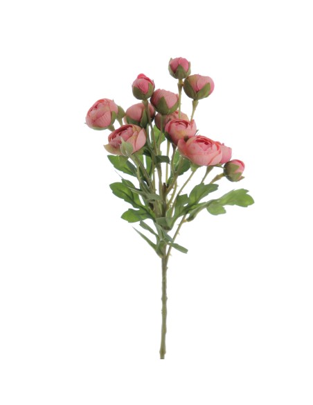 RANUNCULUS 56 CMS (2286-12)