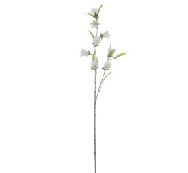 CAMPANULA 80 CMS (2395-01)
