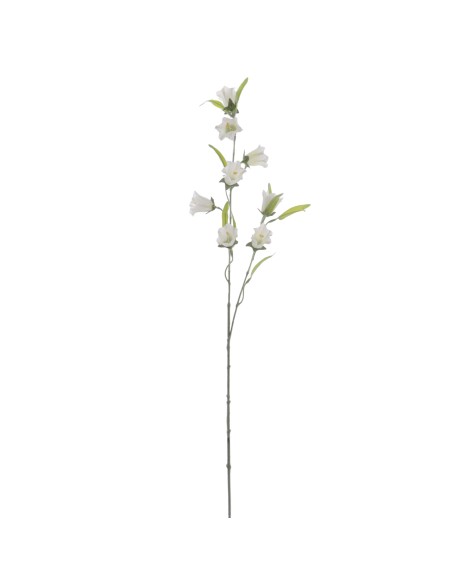 CAMPANULA 80 CMS (2395-01)