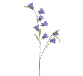 CAMPANULA 80 CMS (2395-10)