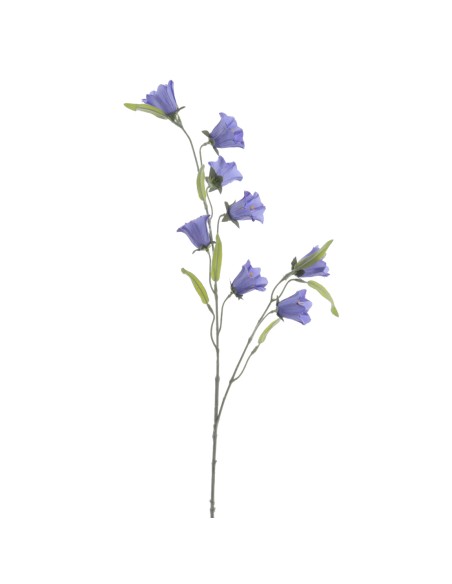 CAMPANULA 80 CMS (2395-10)