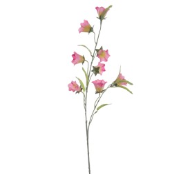 CAMPANULA 80 CMS (2395-12)