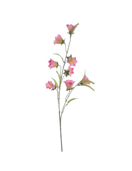 CAMPANULA 80 CMS (2395-12)