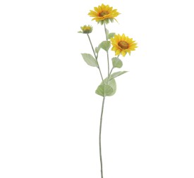 GIRASOL 62 CMS (2396-02)