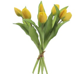 ATADO TULIPANES (2750-02)