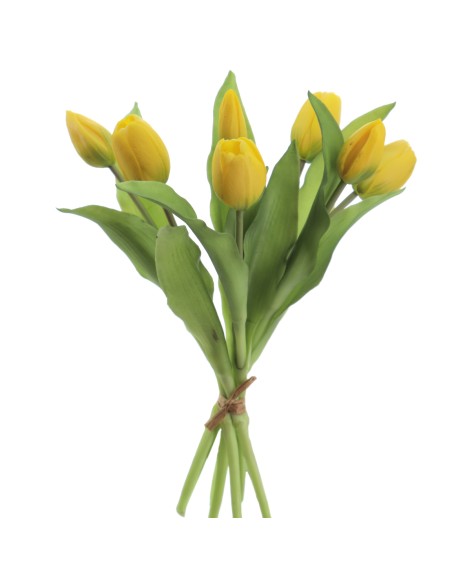 ATADO TULIPANES (2750-02)