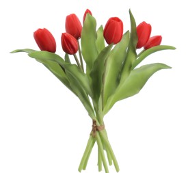 ATADO TULIPANES (2750-08)