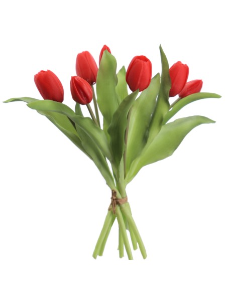 ATADO TULIPANES (2750-08)