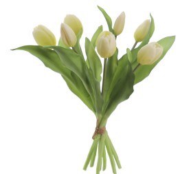 ATADO TULIPANES (2750-11)