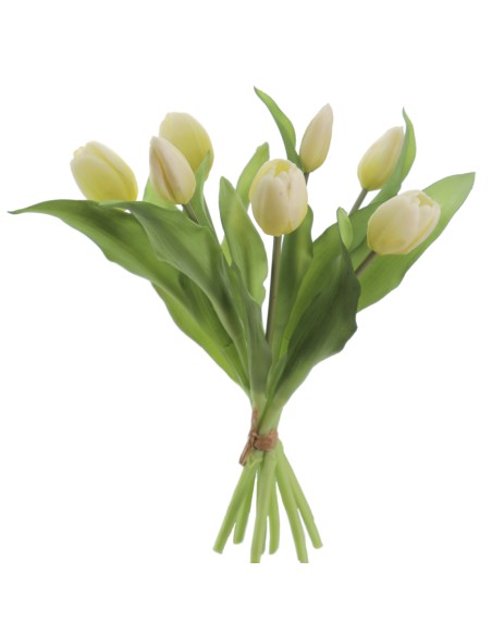 ATADO TULIPANES (2750-11)