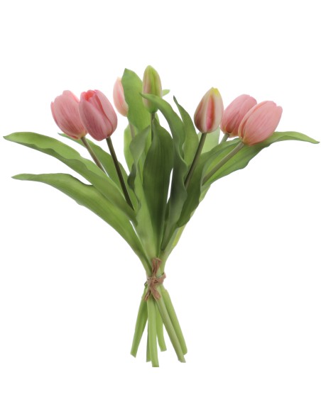 ATADO TULIPANES (2750-12)