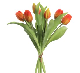 ATADO TULIPANES (2750-15)