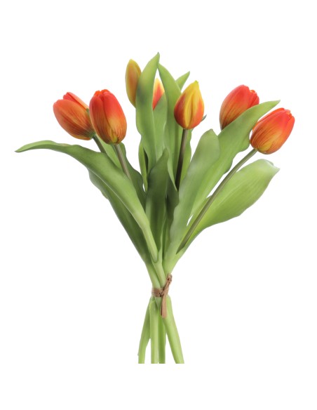 ATADO TULIPANES (2750-15)