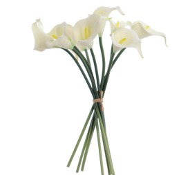 ATADO CALAS (3910-01)