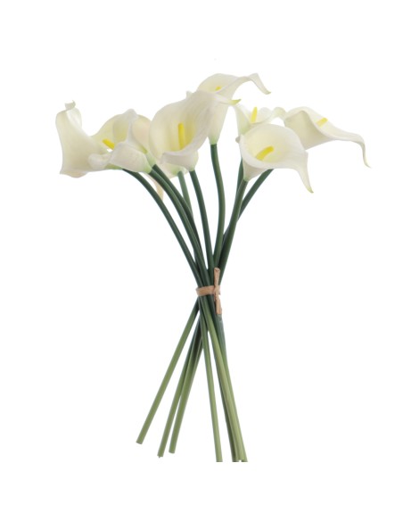 ATADO CALAS (3910-01)