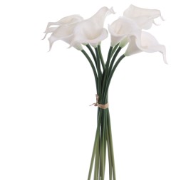 ATADO CALAS (3910-11)