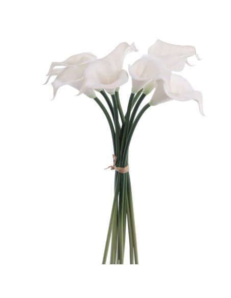 ATADO CALAS (3910-11)