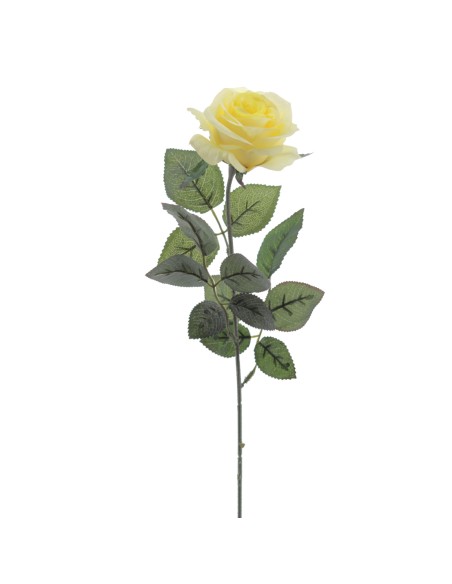 ROSA PROVENZA 65 CMS (5111-02)