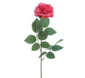 ROSA PROVENZA (5111-07)