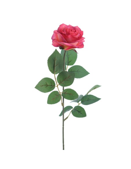 ROSA PROVENZA 65 CMS (5111-07)