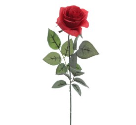 ROSA PROVENZA 65 CMS (5111-08)