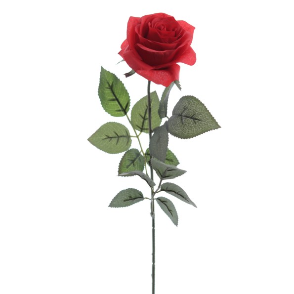 ROSA PROVENZA 65 CMS (5111-08)