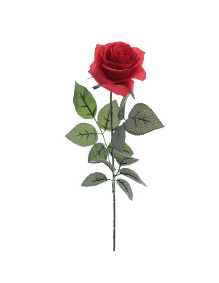 ROSA PROVENZA 65 CMS (5111-08)