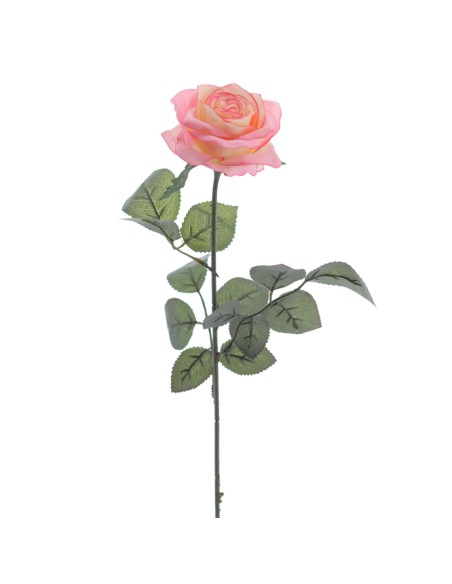 ROSA PROVENZA 65 CMS (5111-12)
