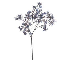 GYPSOPHILA (6121-10)