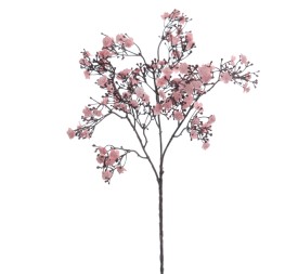 GYPSOPHILA (6121-12)