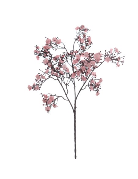 GYPSOPHILA (6121-12)