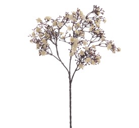 GYPSOPHILA (6121-31)