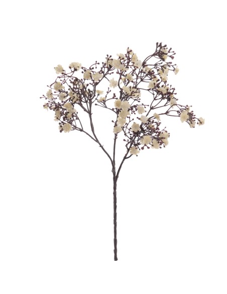 GYPSOPHILA (6121-31)